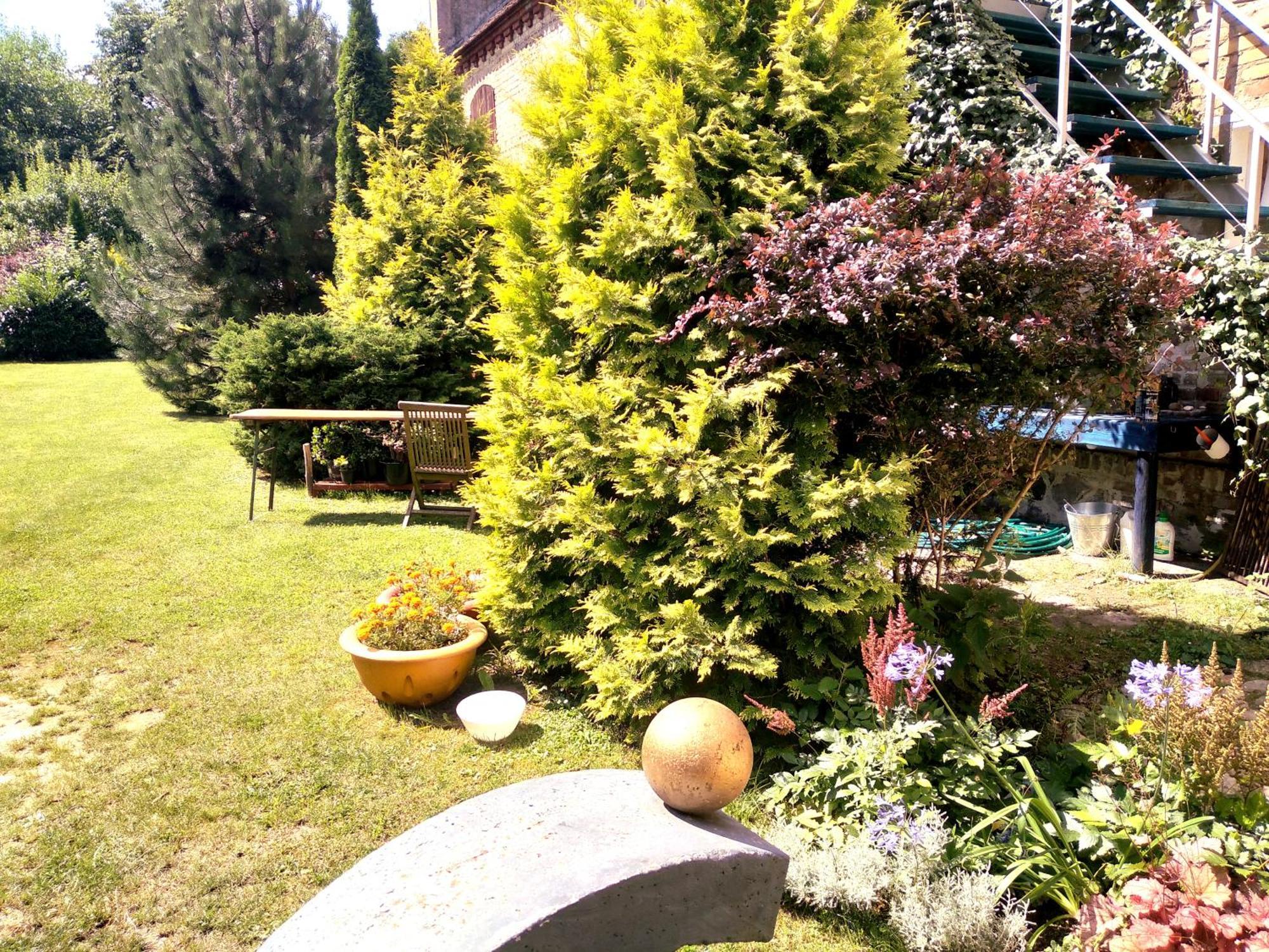 Dom Sztuk - House Of Arts Apartamento Międzyrzecz Exterior foto